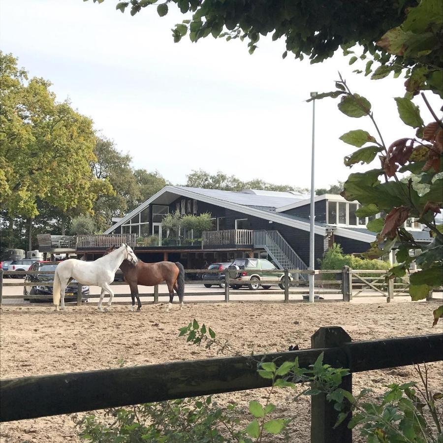 Bed & Breakfast Loft 55, Penthouse Aan De Schoorlse Duinen 4*
