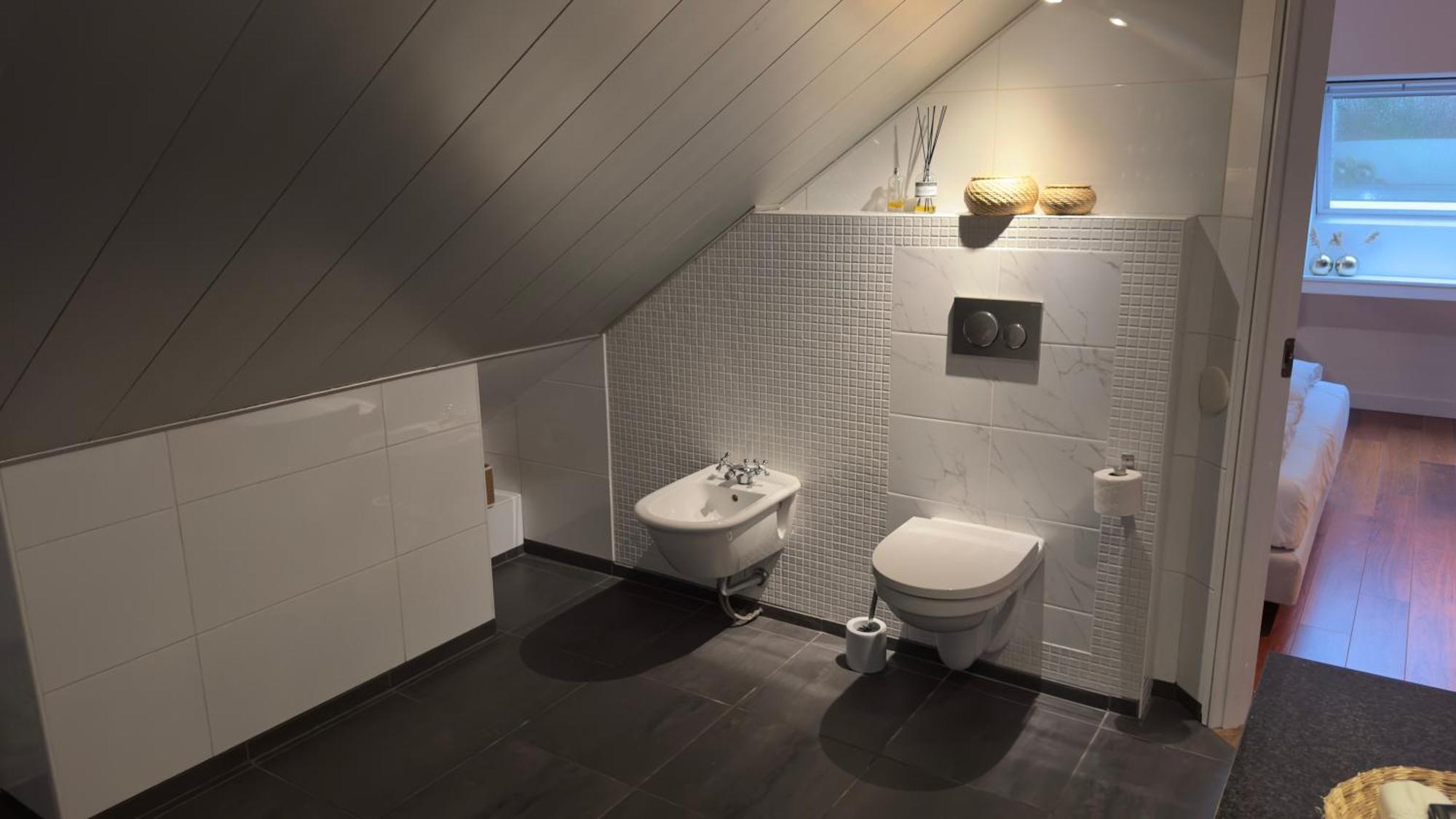 Bed & Breakfast Loft 55, Penthouse Aan De Schoorlse Duinen